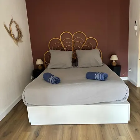 Cosy Au Pied Du Pont Vieux דירה